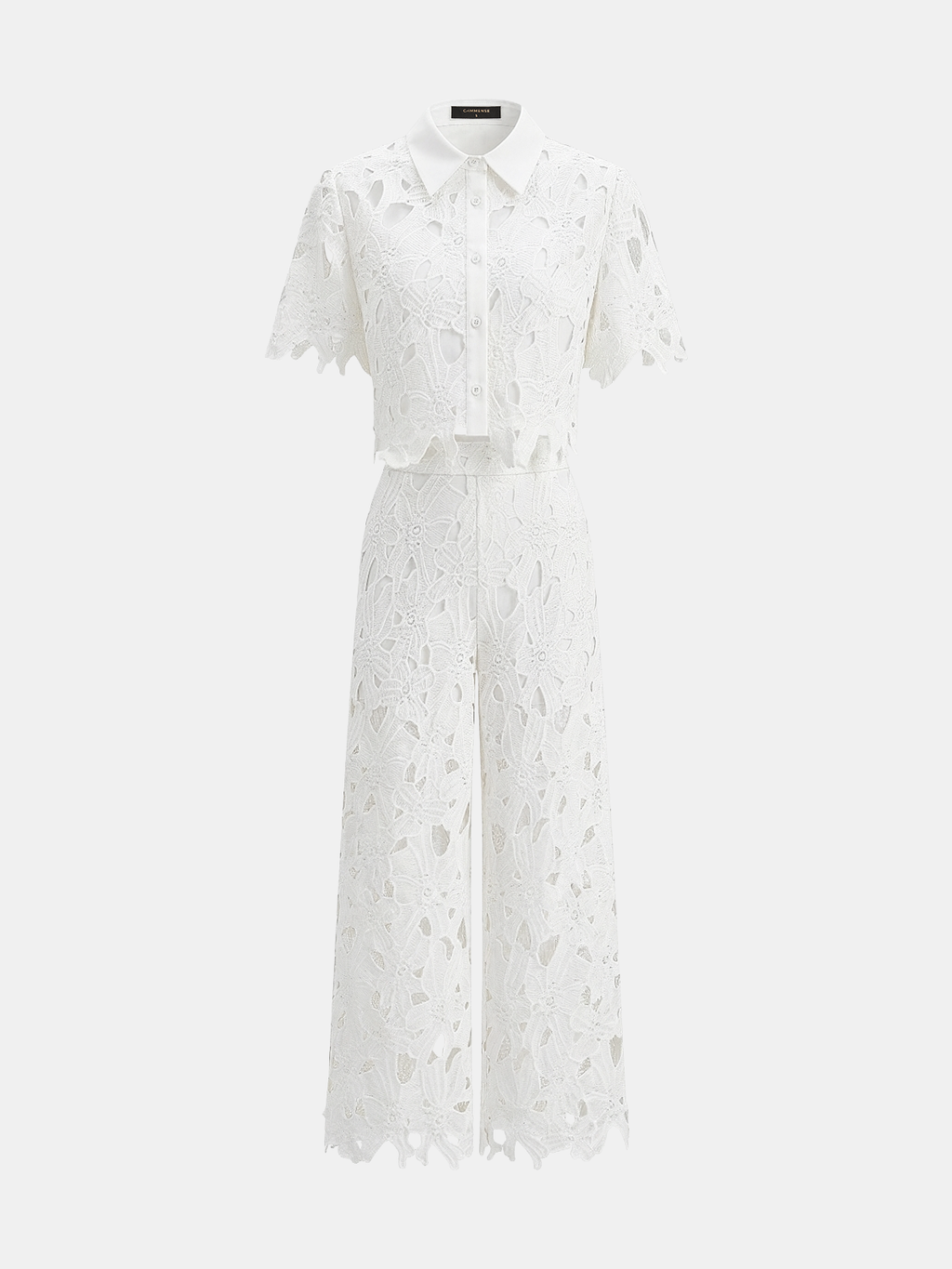 Cutout Lace Short Sleeve Top & Pants Set